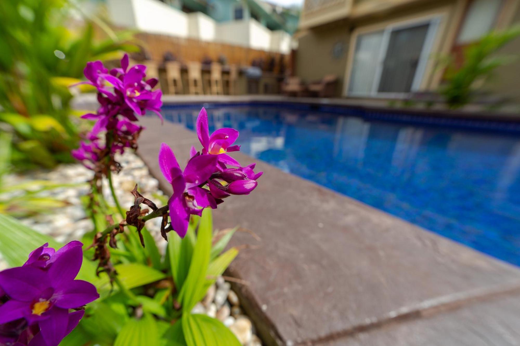 Plumeria Suite, 2-Bedrooms, Sleeps 6, Pool & Bbq, Pre-Renovation Summer Sale Kihei Exterior photo