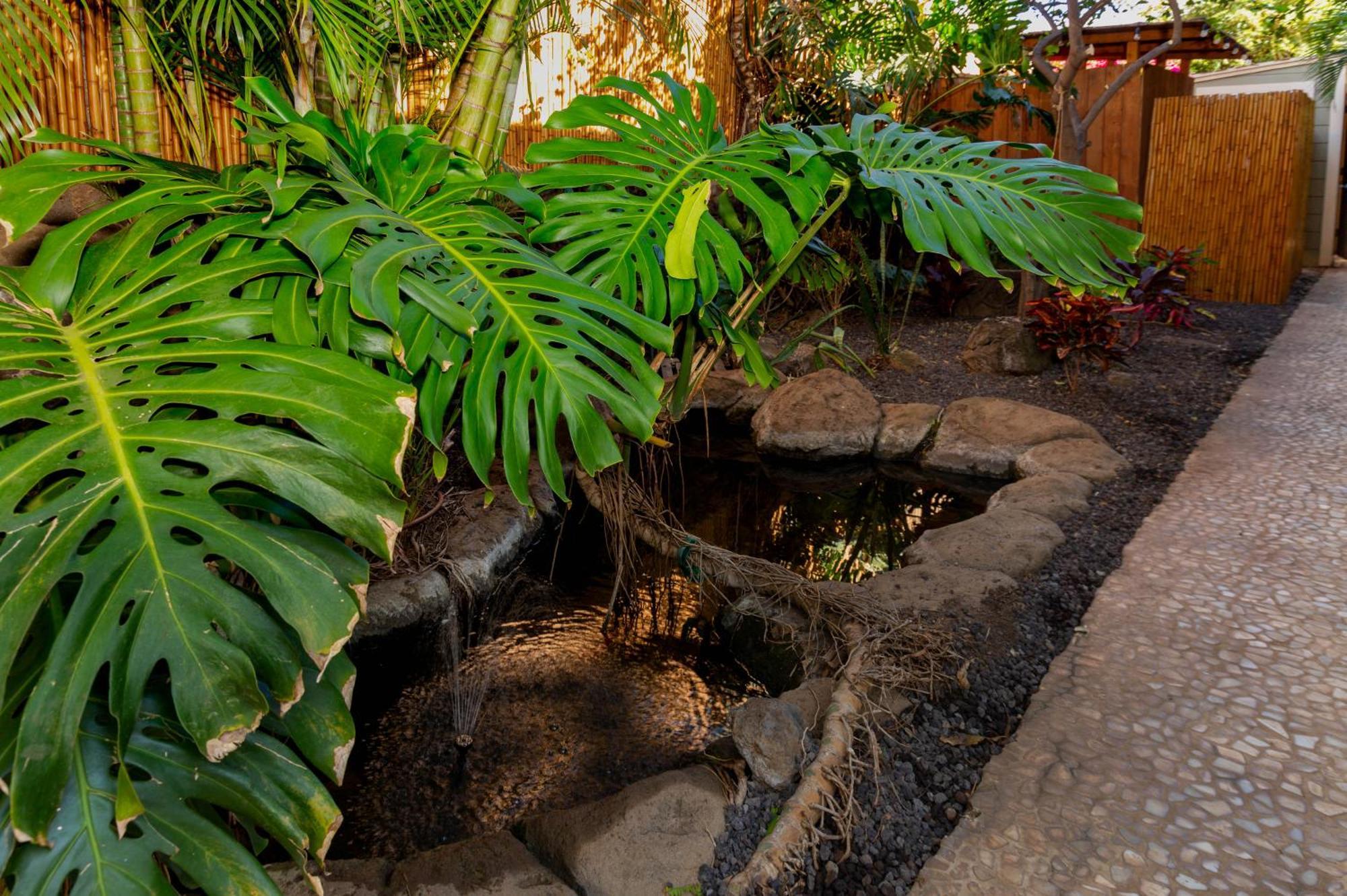 Plumeria Suite, 2-Bedrooms, Sleeps 6, Pool & Bbq, Pre-Renovation Summer Sale Kihei Exterior photo